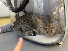 -美联众合动物医院·24h转诊中心