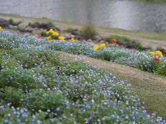 -上海辰山植物园