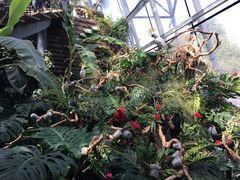 -北京植物园-展览温室