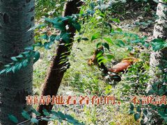 -南海子公园