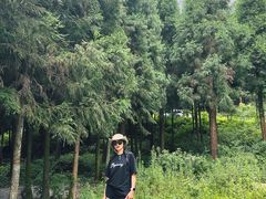 -重庆睡佛山森林公园