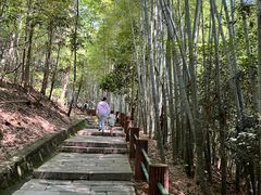 -敬亭山风景名胜区