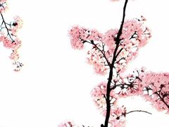 -泰丰公园