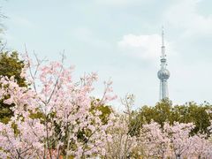 -文华公园(禅城区)