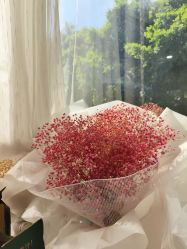 -伊丽莎白医疗美容
