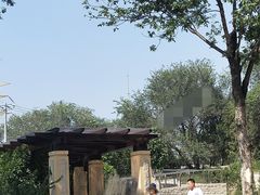 -永定河休闲森林公园