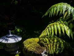-上海植物园-4号门售票处