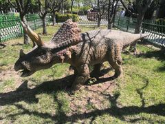 -泰达航母主题公园