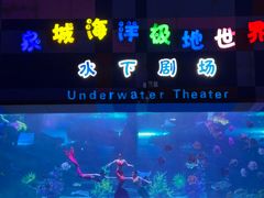 -泉城欧乐堡海洋极地世界