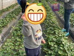 -小鱼草莓采摘园农家乐·小鱼餐厅