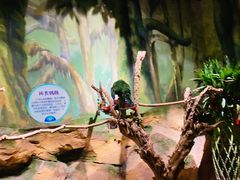 -嘉和一品粥(山水店)