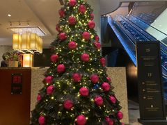 -上海锦江汤臣洲际大酒店壹阶层