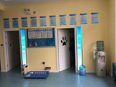 -瑞鹏宠物医院·爱宠堂·骨外专科(西荷分院)