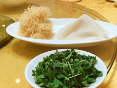 -丁老爷子苏香圆