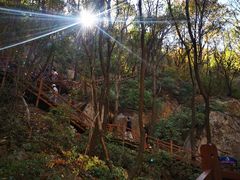 -大岭沟猕猴桃谷风景区