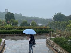 -张坝桂圆林公园