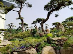 -罗红摄影艺术馆