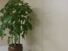 -常州奔牛国际机场