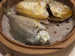 -马哥孛罗咖啡厅·Cafe Marco (厦门马哥孛罗东方大酒店)