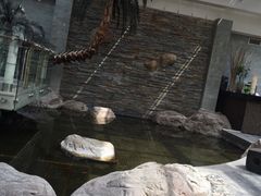 -和园景逸大酒店朗月汤泉