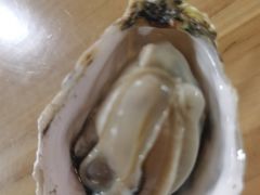 -林记海鲜排档·十年海鲜地标