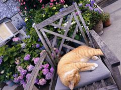 -Vanillacafe香草咖啡(银海大世界店)