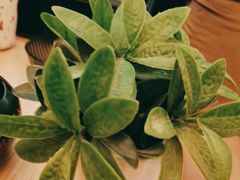 -润生源足道·SPA(个园店)