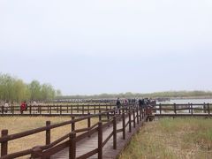 -西青郊野公园