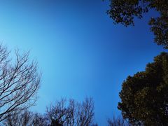 -院士公园