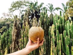 -中国科学院西双版纳热带植物园