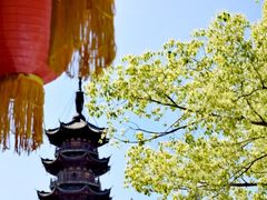 -龙华寺