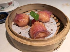 -点都德·毕德寮
