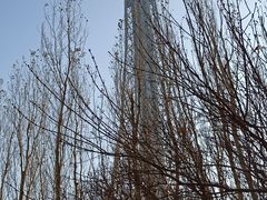 -龙塔