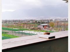 -翠田Green Field Kitchen