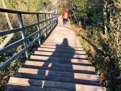 -金子山原生态旅游风景区