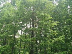 -白鹭湾湿地公园