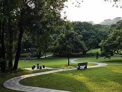 -荔香公园