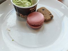 -嘉定凯悦·咖啡厅