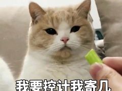 -老厨人深海炖锅(江宁文鼎店)