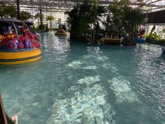 -南宫五洲植物乐园