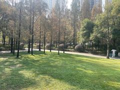 -成都南湖公园