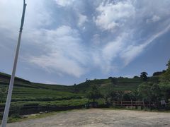 -龙坞茶村