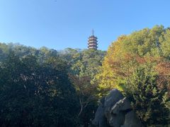 -焦山风景区