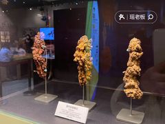 -正佳自然科学博物馆
