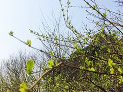 -西湖风景区-江洋畈生态公园