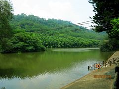 -滴水岩森林公园