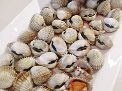 血蛤-华盛丰温州大排档(东三环南路店)