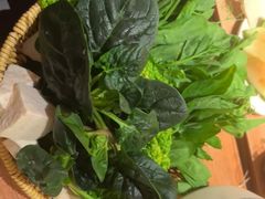 -巴奴毛肚火锅(龙湖锦艺城店)