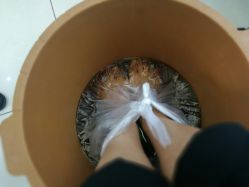 -派恩宜灰指甲鸡眼嵌甲手足癣