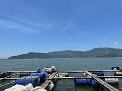 -罗源湾8号渔排